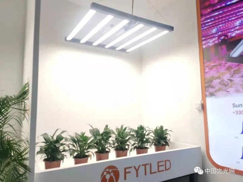 老洪带你逛光亚|光亚展首日看点