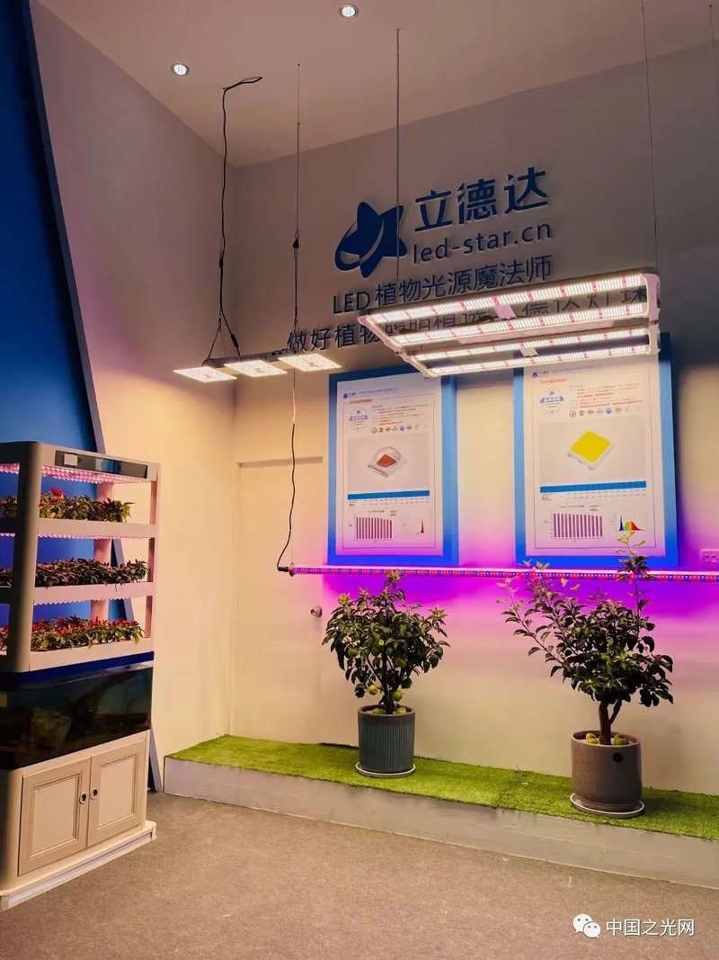 老洪带你逛光亚|光亚展首日看点