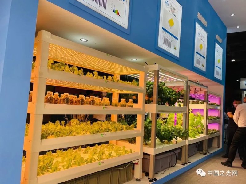 老洪带你逛光亚|光亚展首日看点