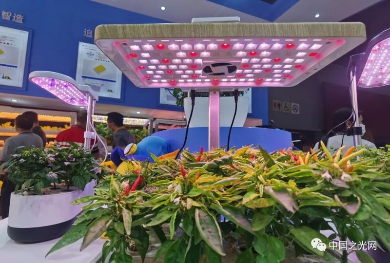 老洪带你逛光亚|光亚展首日看点