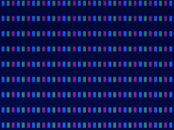 攻克难点技术  | 国星光电Micro LED最新进度