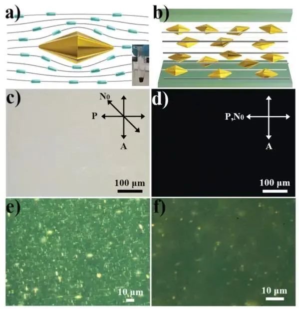 华南师范大学在金纳米双锥颗粒掺杂液晶材料研究方面取得重要进展