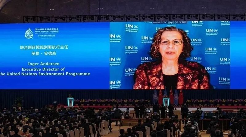 全球聚焦！4000㎡超高清大屏为联合国生物多样性大会添彩