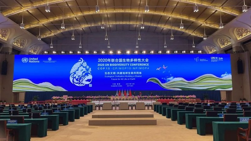 全球聚焦！4000㎡超高清大屏为联合国生物多样性大会添彩