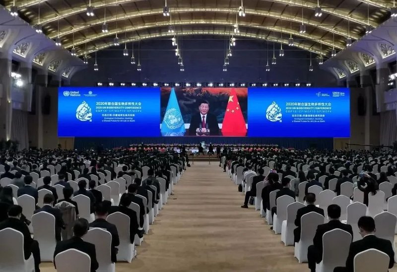 全球聚焦！4000㎡超高清大屏为联合国生物多样性大会添彩