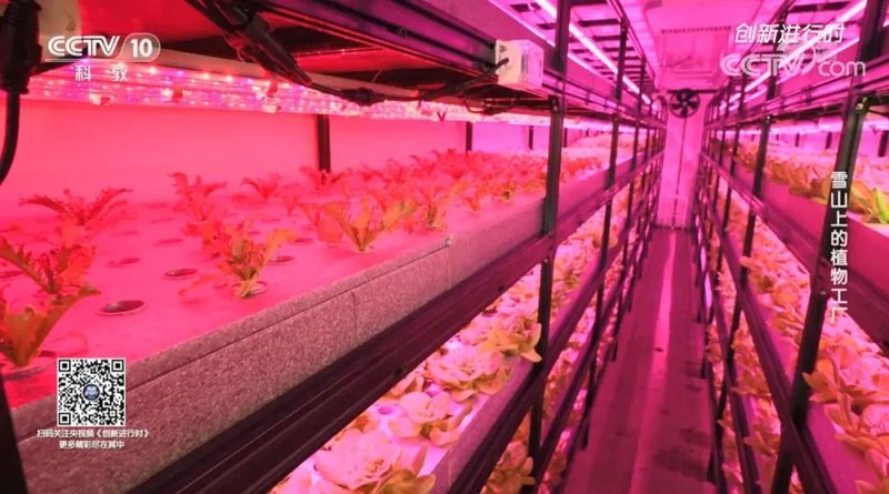 CCTV10《创新进行时》专题报道：雪山上的植物工厂