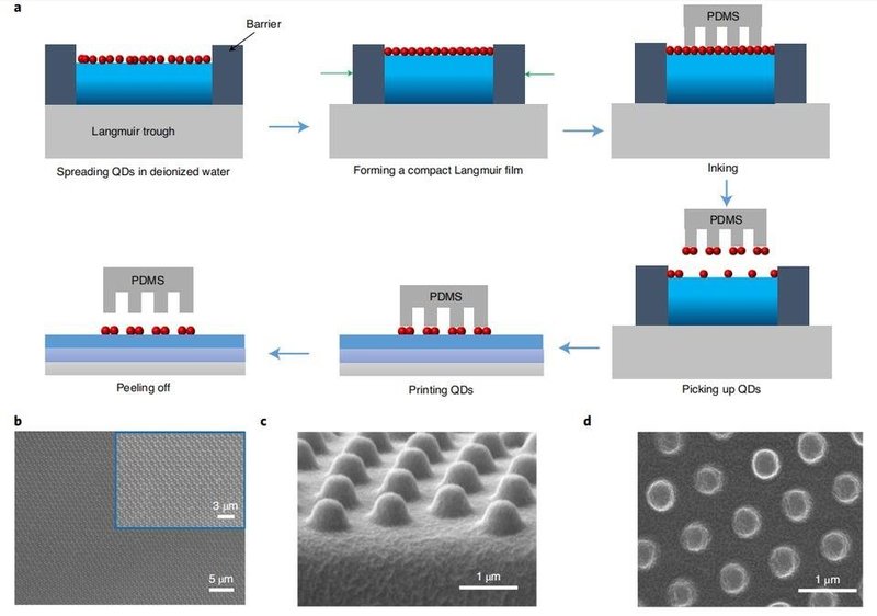 像素密度达25000PPI！这一所高校实现量子点LED技术新突破