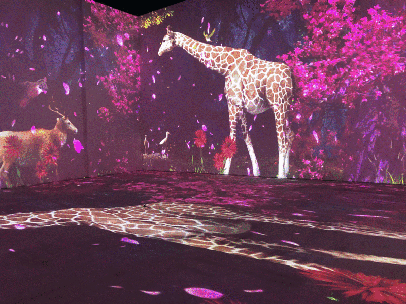 大湾区首个“元宇宙 10 条”出台，最高补贴500万，元宇宙真的要来了！