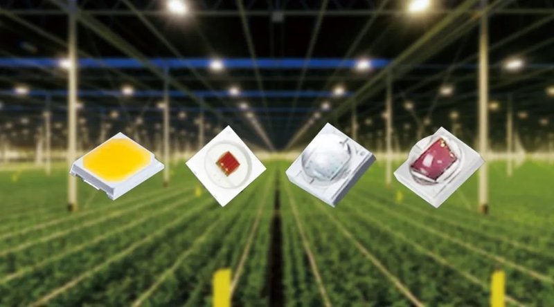 疫情之下“一蔬难求”丨鸿利智汇推面向现代农业的LED产品，助力家居种植