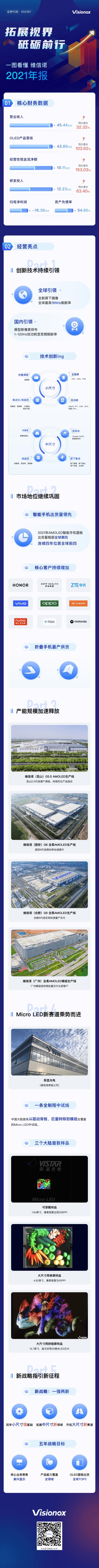 一图看懂维信诺2021年报