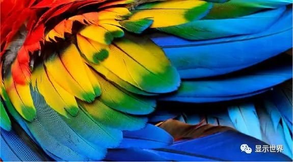 友达后里8.5／8.6代新厂计划推迟 资本支出砍20%