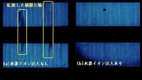 8寸！天岳公布了