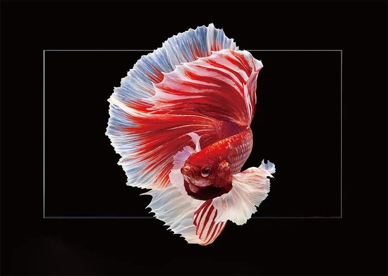 NX畅销的秘密是？