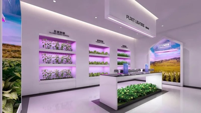 链接未来丨鸿利智汇LED体验馆全新上线