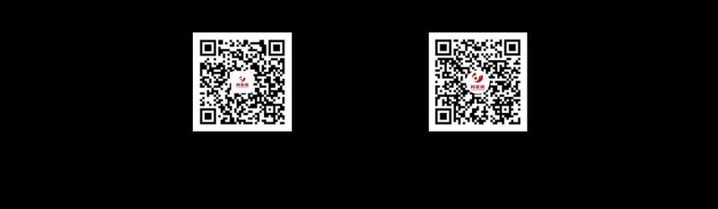 主创解读 | 天开园数字内容幕后创作密码