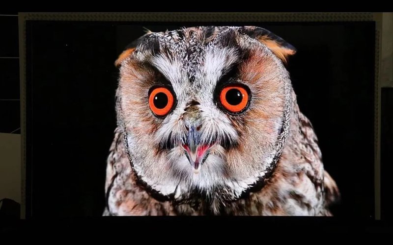 辰显光电成功点亮国内首款P0.5 TFT基无边框58英寸Micro-LED拼接屏