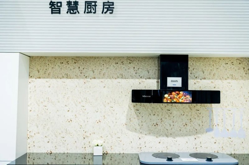 BOE、TCL华星、维信诺、天马等群星闪耀DIC 2023