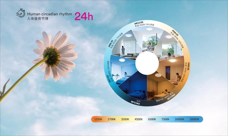 中昊光电王孟源：不惧挑战，行稳致远