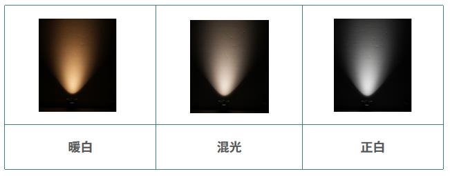鸿利智汇推出第三代调光双色TOP产品