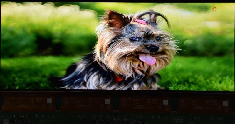 维信诺全球首发中尺寸20-640Hz+宽频LTPS技术