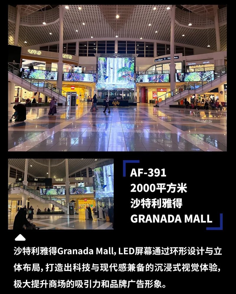 深德彩2024年度全球精彩应用案例