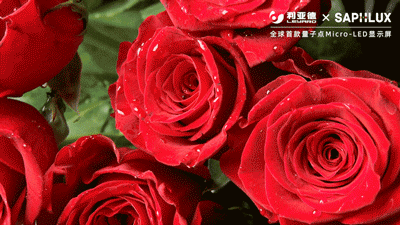 利亚德与赛富乐斯联合研发的量子点技术荣登央视《新闻联播》