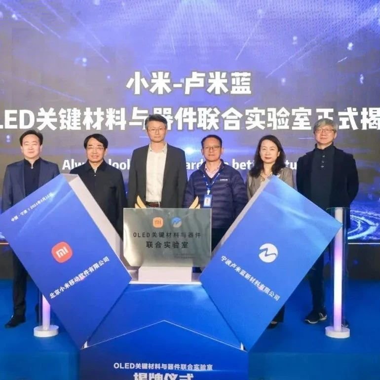 晶合集成40纳米OLED显示驱动芯片成功点亮面板