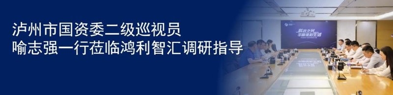 一图读懂鸿利智汇2023年报