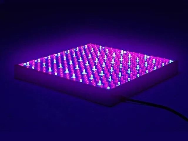 放弃Micro LED市场？不！中国屏企发展正当时