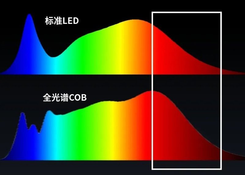 走进中昊光电（三）