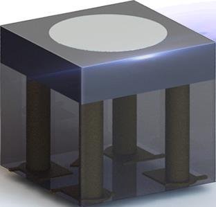 精彩的奥运，璀璨的国星——国星光电祝贺巴黎奥运圆满闭幕