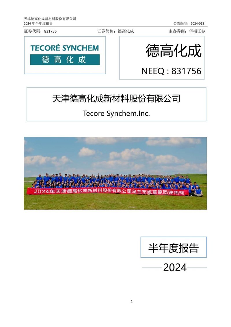 2024年半年度报告