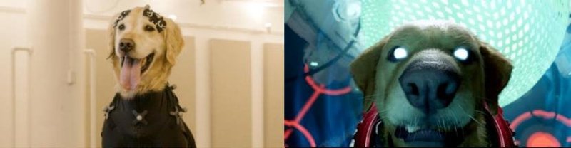 媒体专访 | 空间计算赋能体育科技，刘耀东谈突破次元与AI奥运新篇