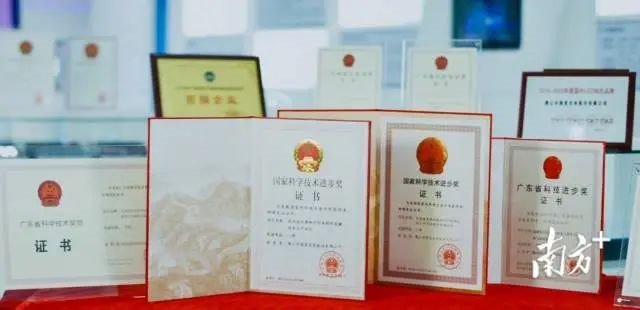 勇夺国家、省“冠军”，国星光电何以制胜？