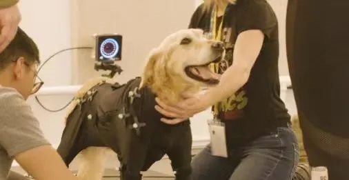 《黑神话:悟空》爆火背后  是“顶级游戏”与“空间计算”的双向奔赴