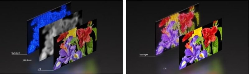 今年量产！​索尼加入RGB-Mini LED战场