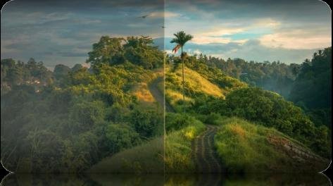 2025行家说开年盛会：国星光电领衔MIP技术革新，开启显示新未来