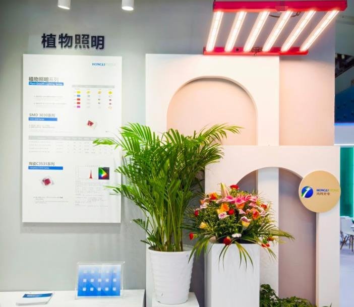 展会直击丨鸿利智汇点亮“光 +”新时代